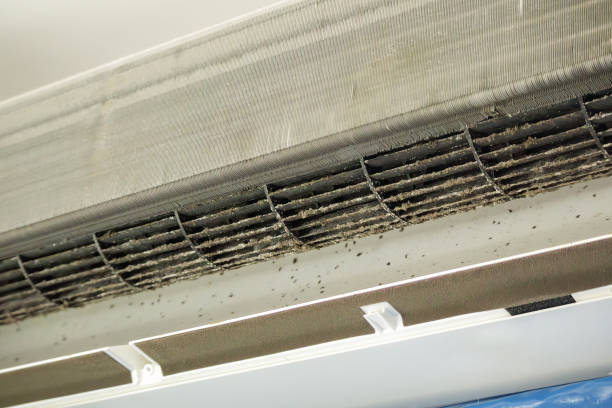 Best Commercial Air Duct Cleaning  in Lombard, IL